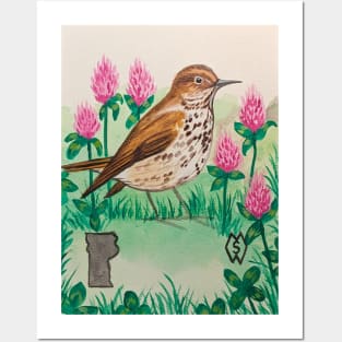 Vermont state bird and flower, the hermit thrush and red clover Posters and Art